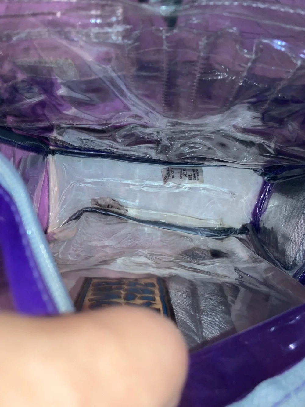 Vintage Purple Vinyl Transparent Backpack